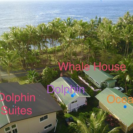 Pahoa Whale House At Kehena Beach מראה חיצוני תמונה