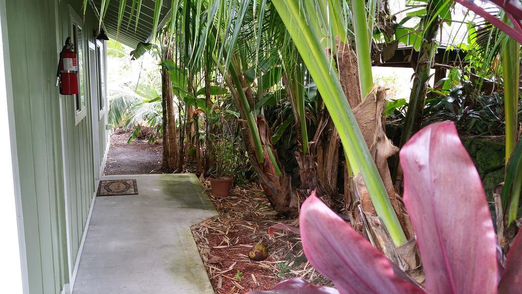 Pahoa Whale House At Kehena Beach חדר תמונה