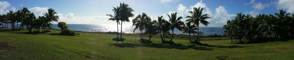 Pahoa Whale House At Kehena Beach חדר תמונה