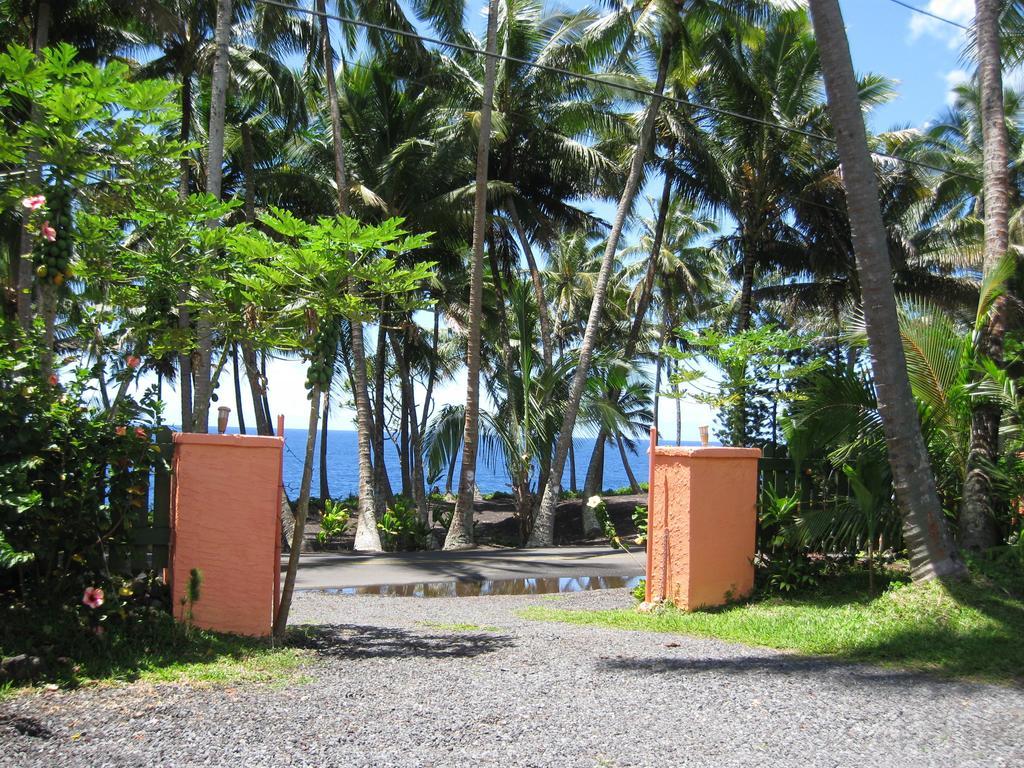 Pahoa Whale House At Kehena Beach חדר תמונה