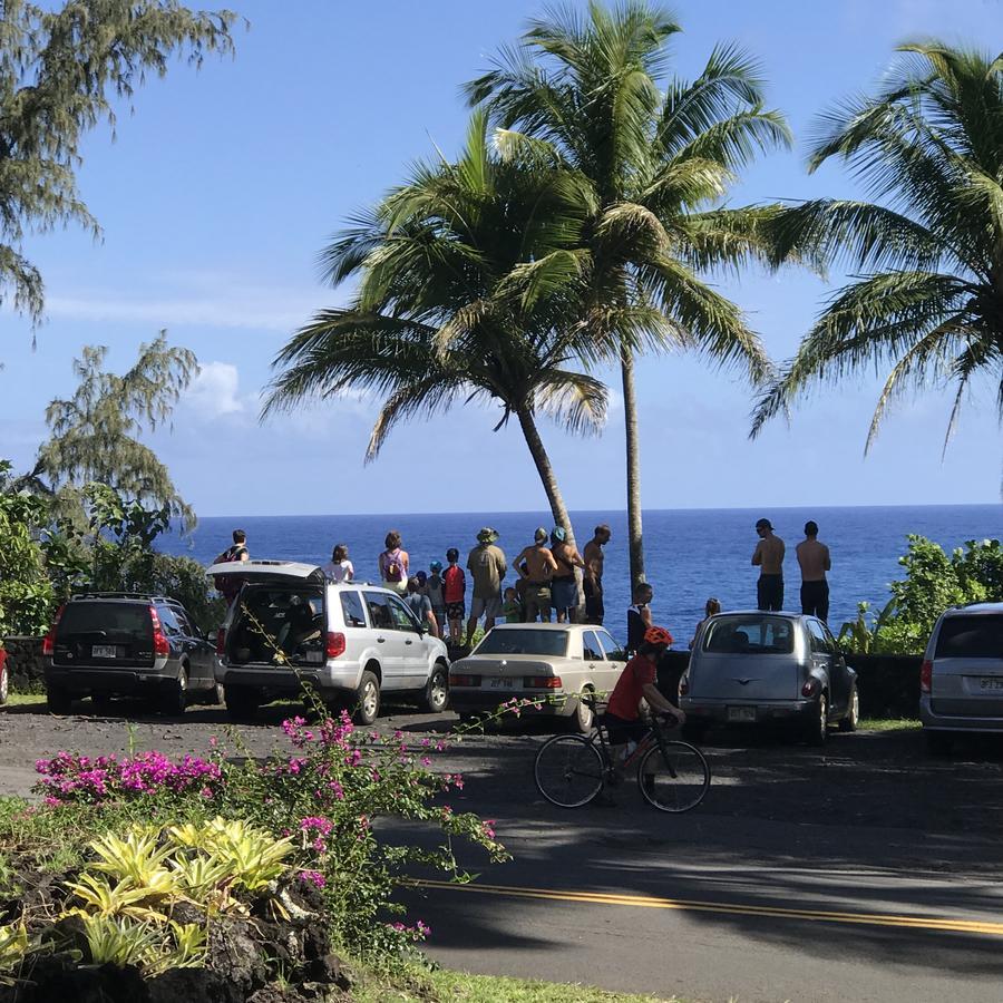 Pahoa Whale House At Kehena Beach מראה חיצוני תמונה