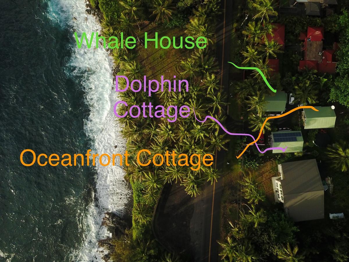 Pahoa Whale House At Kehena Beach מראה חיצוני תמונה